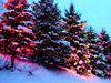 Пазлы онлайн Зима, Рождество, Новый Год